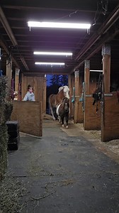 16M views · 516K reactions | This never gets old 殺 Please like our...