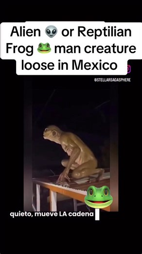 Alien or reptilian, frog man creature loose in Mexico #aliens #governmentsecrets #reptilian #fypシ゚viralシfypシ゚ #fbreelsfypシ゚ | French Dose