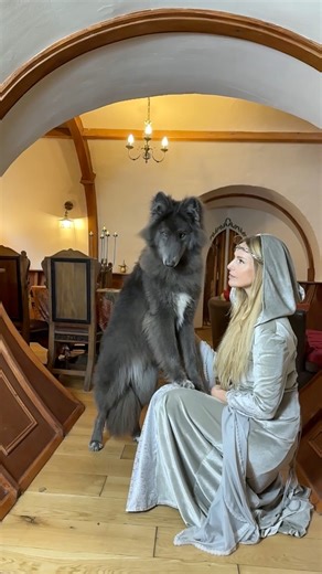 160K views · 12K reactions | The Elf & The Wolf #tolkien #lordoftherings #elf #elfqueen #wolf #bluewolf #varg #thehobbit #hobbithouse #Hobbit | Anneka Svenska | Facebook
