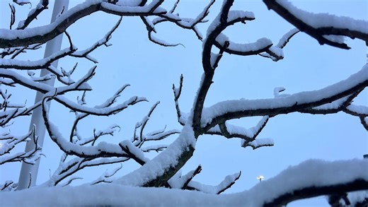 Heavy snowfall hits southern Ontario with more expected thr - The Weather Network