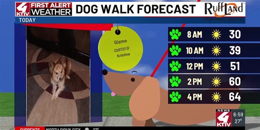 Dog Walk Forecast: Gizmo