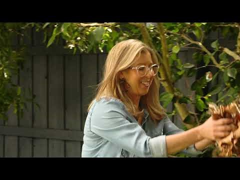 HOW TO COMPOST by Maze