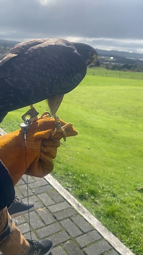 16 reactions | my work day yesterday  Was such a cool experience,...