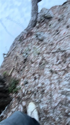 EGGMASTER (@egg.master44)’s videos with son original - Benjamin Esseiva