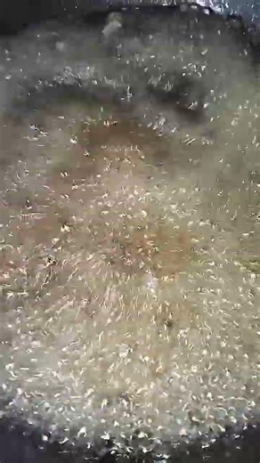 Ultra Crispy Fried Frog Legs | Juicy Stir-Fried Finish ASMR Cooking