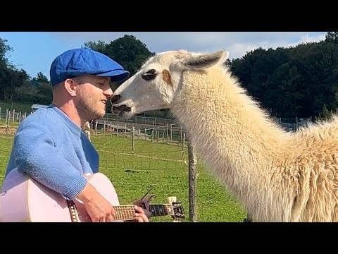 Singing for Animals Compilation 🥹❤️‍🩹