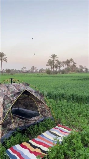 جمال الطبيعة مش صدفة… ده إبداع رباني يسرّ العين ويطمن القلب🤍سبحان من أبدع فصوّر