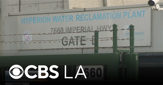 Vector control officials lay traps as mosquito infestation continues to place El Segundo residents