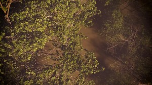 HIDING IN THE HONEY HOLE When you're out on the water, our OPTIFADE™ camo design from Gore™ is the perfect way for your Viper F4 to blend in with the natural surroundings. Want a better look? See it for yourself. Visit https://excelboats.com/dealer-locator.html to find the dealer nearest you. | Excel Boats