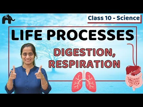 Life Processes One Shot Class 10 Science Chapter 6 Biology | CBSE NCERT #1