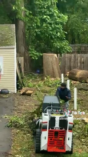 Tight access? No problem. 💪🌲 From a tree behind the house to one confined between a fence, our crew completed both removals with care, control, and professional execution. #TreeRemoval #ProfessionalTreeService #KDTreeService #SafeTreeRemoval #TreeExperts #YardSafety #BeforeAndAfter #CleanFinish