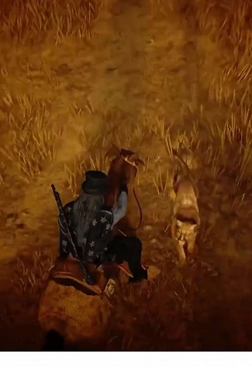 Epic Cougar Encounter in Blackwater - A Horse Betrayal