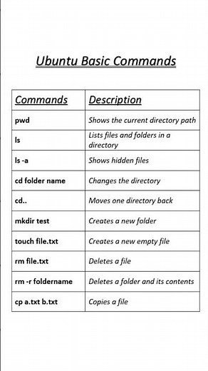 Top 10 Ubuntu Commands for Beginners | Linux Terminal Basics