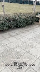 Mesmerizing stone serpent … | Evan Tan