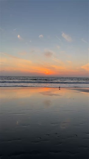 Dennis Hong on Reels