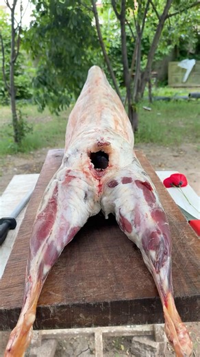 Bütün kuzu rulo - Rolled Whole Lamb #food #cooking #kebab #kuzu #lamb #dallas #tarif #pirzola #beyti