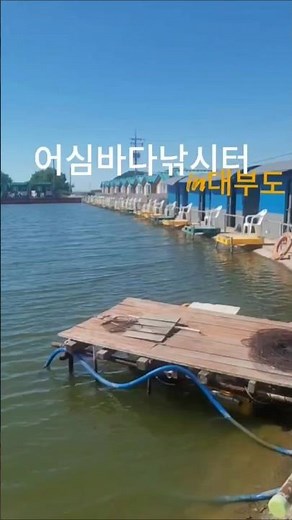 안산대부도낚시터 어심바다낚시터