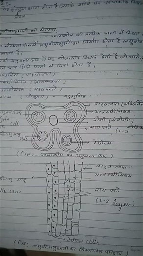 12th NCERT NOTES #biology