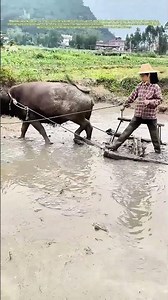 Plowing the Field: How Traditional Methods Meet Modern Efficiency