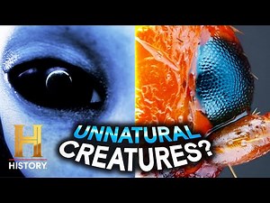 The Animal Connection to the Gods | Ancient Aliens | History