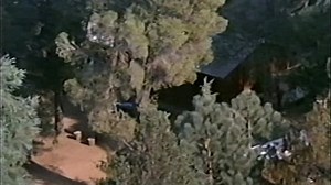 The Doberman Gang (1972)