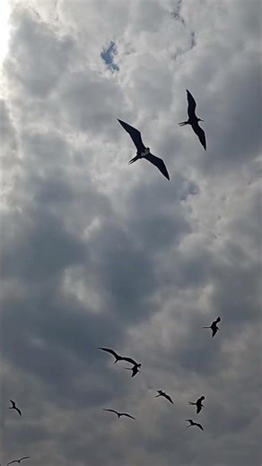 God will multiply #reflection #motivation #beach #God