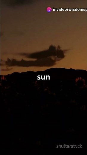 Sunflowers Follow the Sun Heliotropism Explained 🌻