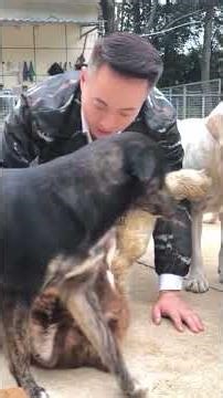 Dog 🐶 feeder it's ready 🤤🤤🤤