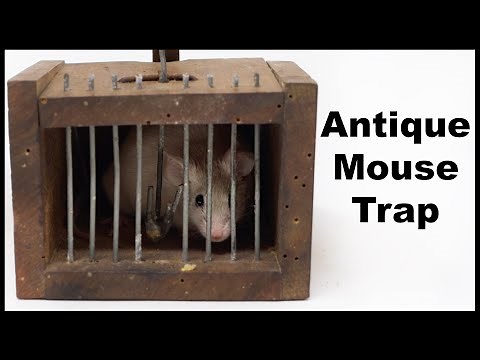 Antique Victorian Mouse Trap. Mousetrap Monday