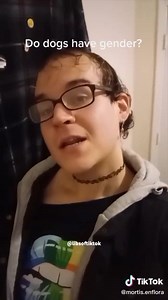 Coming soon: trans dogs. | Kenny Webster