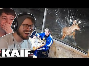 DAILY DOSE OF INTERNET MOMENTS THAT WILL LEAVE YOU AMAZED | NoBeans REACT