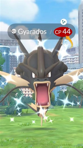 Found the LOWEST CP Shiny Mega Gyarados in the Wild!