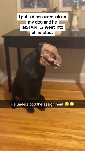 Dog Wears Dinosaur Mask & Instantly Goes Into Character 🦕