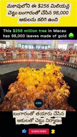 💰$256 Million Golden Tree #shorts #shortsfeed #shortfeeds #viral #GoldLeaves