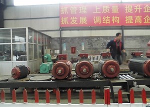 [Hot Item] Tefc Tefv 3 Phase Electric Induction Motor in China