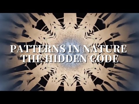 PATTERNS IN NATURE | THE HIDDEN CODE
