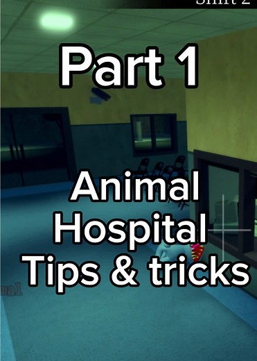Animal Hospital Tips and Tricks with Jannet — Part 1