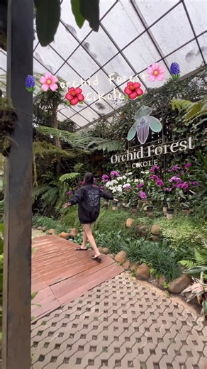 Shandra Bahari on Instagram: "Our memories #orchidforestcikole #familytrip 🌸🌹🪻"