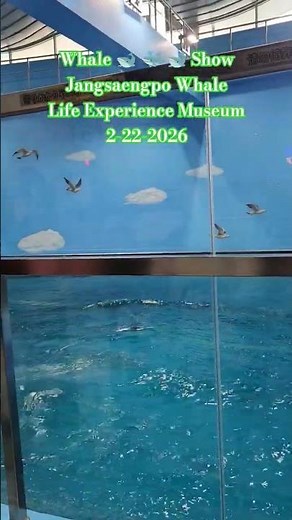 Whale 🐋 🐳 🐋 ShowJangsaengpo Whale Life Experience Museum2-22-2026 #장생포고래생태체험관 #장생포고래문화마을 #장생포고래박물관