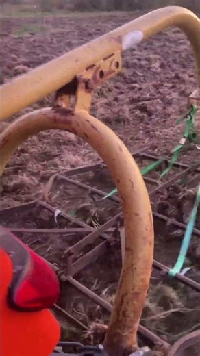 Still using the same setup with the old harrow, just different tractor. #smallscalefarming #farmlife