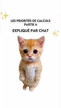 Chat explique les priorités de calculs partie 4 #chat #humour #chat #fyp #pourtoi