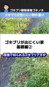 ゴキブリが出にくい物件選び・基礎編②水の近くは避ける【ゴキブリ対策】
