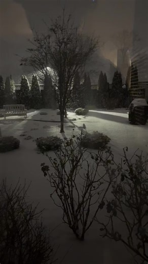 livingperpendicular (@livingperpendicular)’s videos with TELETOON at NIGHT - King.Zel