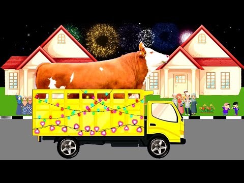 Karnaval Takbir Keliling Idul Adha Terbaru 2026 Meriah,Sapi Kurban Jumbo