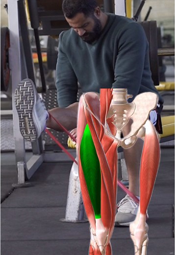 Strengthening Quadriceps and Groin for Better Performance