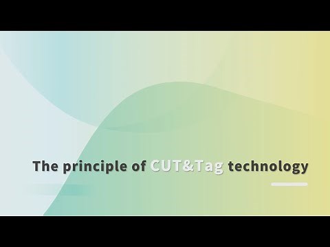 The principle of CUT＆Tag technology