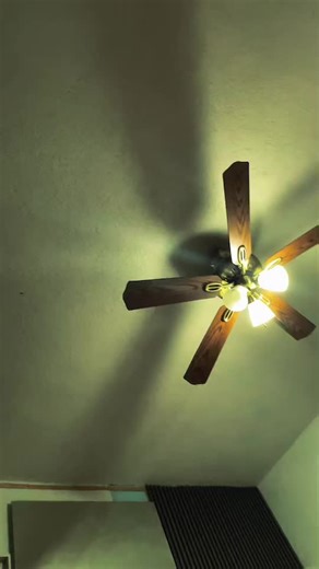 Videos de Alex Herr (@alex.herr4) con “original sound - 𝗠𝘂𝘀𝗵𝘁𝗮𝗮𝗤•🩷🐍”