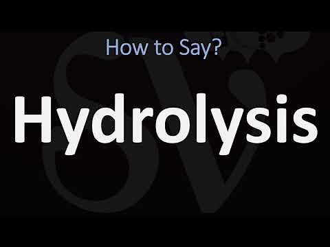 How to Pronounce Hydrolysis? (CORRECTLY)