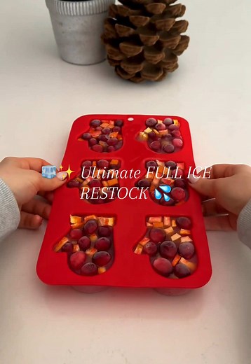 Ultimate Ice Restock with Satisfying ASMR Sounds