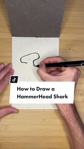 Easy Steps to Draw a HammerHead Shark